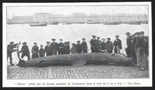 1907   --  CONCARNEAU 