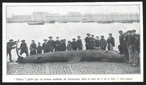 1907 concarneau - 1907,