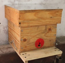 VENDS LOT DE 10 Nuclei DE FECONDATION 