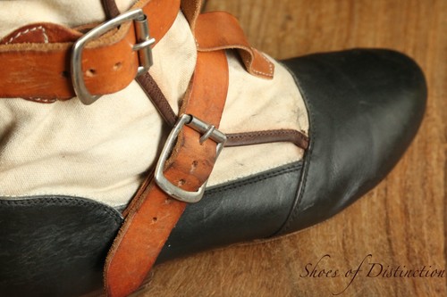 Vivienne westwood brown blue - westwood,