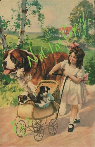 Saint bernard dog and - and, girl