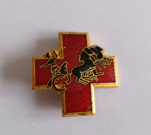 Insigne militaire region - insigne,