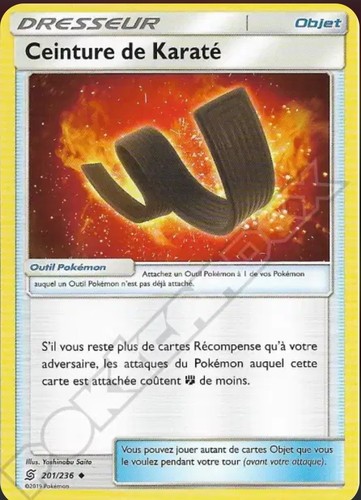 Ceinture karaté 201 236 - karaté,