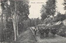 60 TILLE COTE RIEUX - ATTELAGE