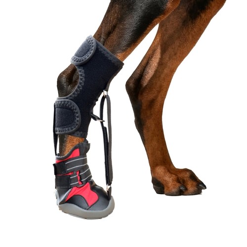 Knuckling boot brace for - boot,