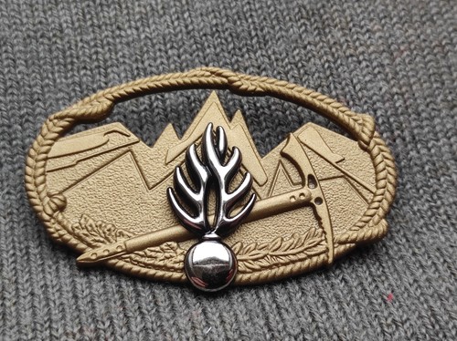 Insigne brevet technique - insigne,