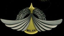 Brevet tireur missile milan - brevet,