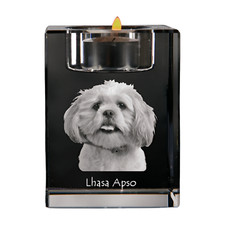 Lhasa Apso, Lhasaterrier