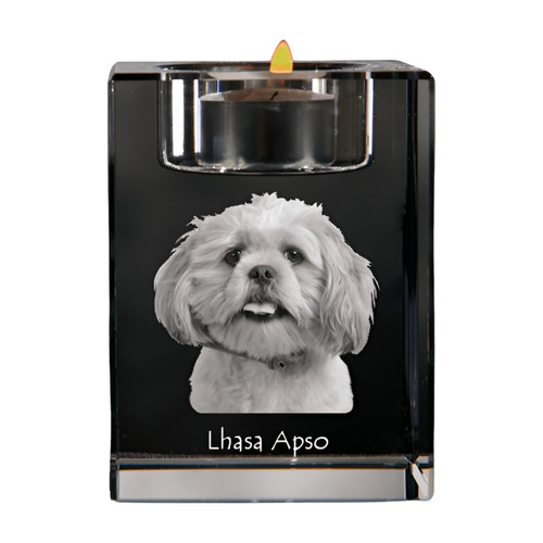 Lhasa apso lhasaterrier - lhasa,