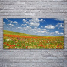 Image sur verre acrylique Tableau Impression 120x60 Paysage Fleurs Prairie