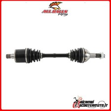 ASSALE POSTERIORE SINISTRO 6