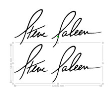 2 Stickers Saleen signature mustang gt shelby pony dimension du sticker 53x120mm