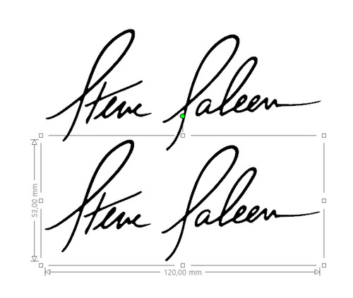 Stickers saleen signature - stickers,