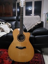 Guitare Elypse custom series 