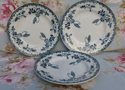 Assiettes plates céramique - 3,