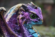 87035 D  FIGURINE STATUE BEBE DRAGON    EN  RESINE    HEROIC FANTASY