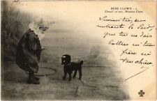 PC BEBE CLOWN CHAUD CE SOIR MOSSIEU CHIEN DOG FANTASY CLOWN ARLEQUIN (a33897)