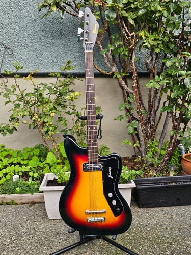 1969 framus apollo bass - 1969,