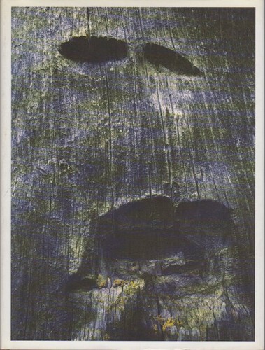 Legno arunda 38 - legno., arunda;