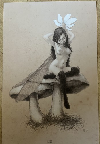 Erlé fée sur champignon - -,