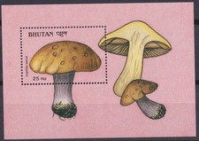 Bhoutan BF 1989 Y&T 201 neuf