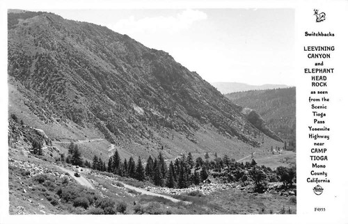 Camp tioga california - camp,