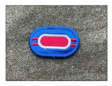 US WW2 Oval brevet para