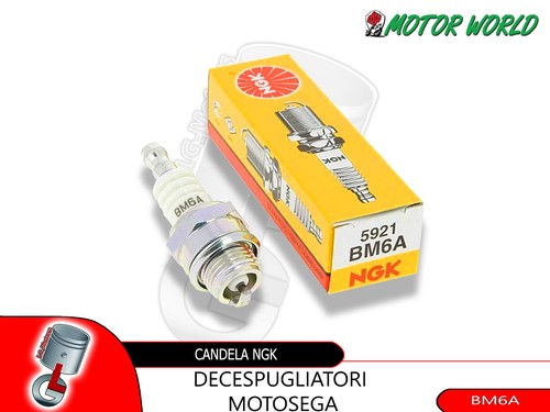 Candela ngk bm6a - candela, minimoto