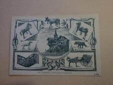 1906.Trade card publicité accessoires écurie Lenoble (cheval animaux jouet).