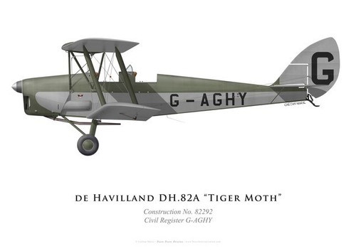 Print tiger moth - print, dh.82
