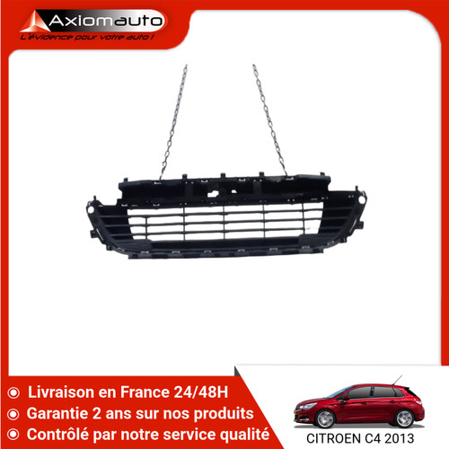 Grille pare choc - 🇫🇷,