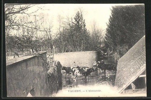 Cpa vallery abreuvoir 1908 - cpa, vallery,