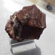 aragonite  sur gypse 40