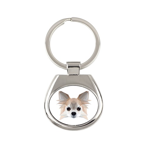 Chihuahua poil long - chihuahua, à