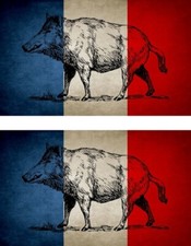 2x autocollant sticker draepau