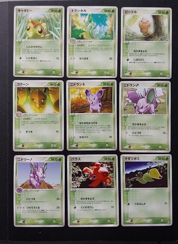Pokemon japonaise flight - pokemon,