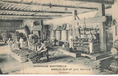 Mareuil sur pres epernay - 51,
