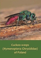 Cuckoo-wasps (Hymenoptera