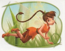 AUTOCOLLANT PANINI CARREFOUR