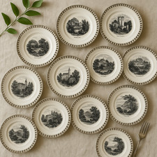 11 Assiettes Anciennes Ajourées XIXe – Vues Romantiques d’Allemagne – Ø17,5cm
