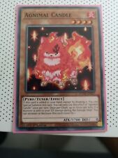 Animal Candle Yu-Gi-Oh! Card