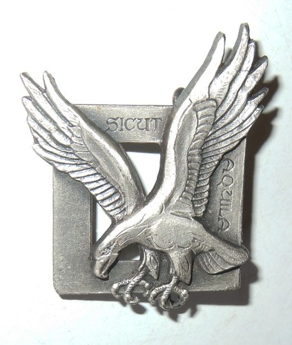 Insigne commandos air - insigne, l'air