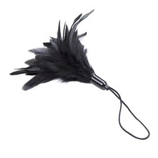 Plume de flirt, jouet taquin