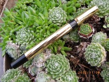 * STYLO ROLLER WATERMAN