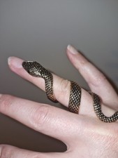 Bague Serpent 52 Tbe