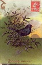 CPA Fantaisie BONNE ANNEE Oiseau bleu chanteur au lever du Soleil BLUE BIRD 1907