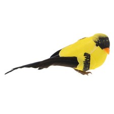  Décoration D'antenne De