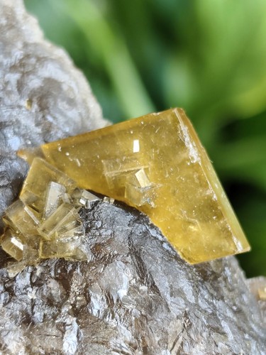 Grande baryte dorée - baryte,