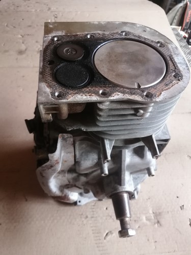 Bloc moteur briggs - (origine),