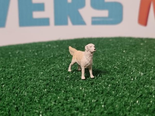 Uma002 chien golden - uma002,